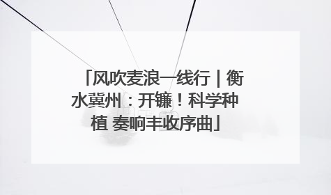 风吹麦浪一线行｜衡水冀州：开镰！科学种植 奏响丰收序曲