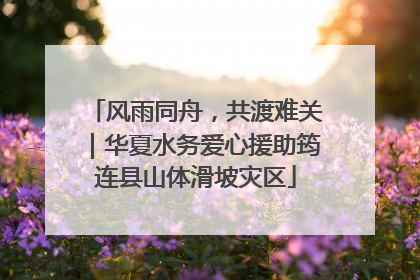 风雨同舟，共渡难关｜华夏水务爱心援助筠连县山体滑坡灾区