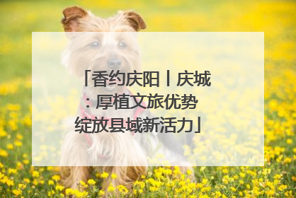 香约庆阳丨庆城：厚植文旅优势 绽放县域新活力