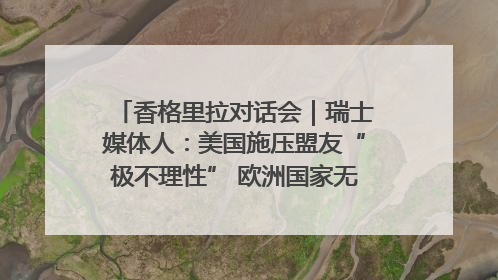 香格里拉对话会｜瑞士媒体人：美国施压盟友“极不理性” 欧洲国家无意与中国“脱钩断链”