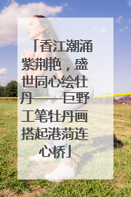 香江潮涌紫荆艳，盛世同心绘牡丹——巨野工笔牡丹画搭起港菏连心桥