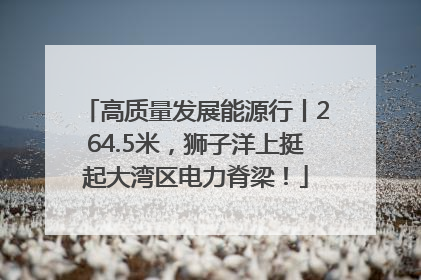 高质量发展能源行丨264.5米，狮子洋上挺起大湾区电力脊梁！