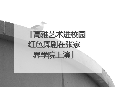 高雅艺术进校园 红色舞剧在张家界学院上演