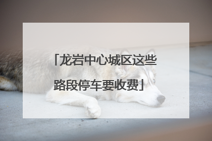 龙岩中心城区这些路段停车要收费
