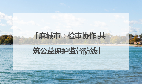 麻城市：检审协作 共筑公益保护监督防线