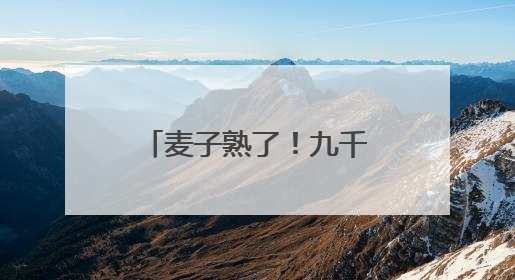 麦子熟了！九千载稼穑中原回响