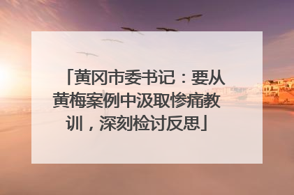 黄冈市委书记：要从黄梅案例中汲取惨痛教训，深刻检讨反思