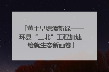 黄土旱塬添新绿——环县“三北”工程加速绘就生态新画卷