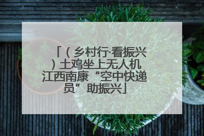 （乡村行·看振兴）土鸡坐上无人机 江西南康“空中快递员”助振兴