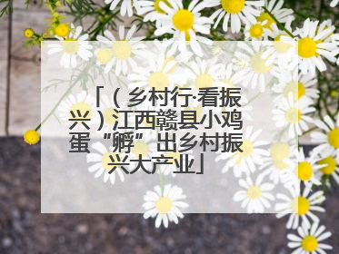 （乡村行·看振兴）江西赣县小鸡蛋“孵”出乡村振兴大产业
