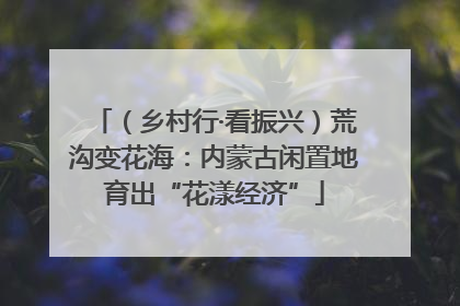 （乡村行·看振兴）荒沟变花海：内蒙古闲置地育出“花漾经济”