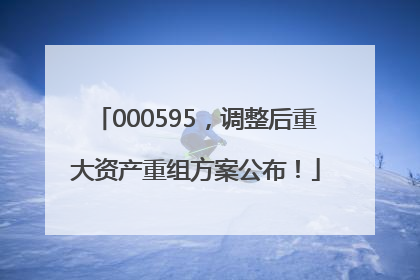000595，调整后重大资产重组方案公布！