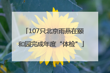 107只北京雨燕在颐和园完成年度“体检”