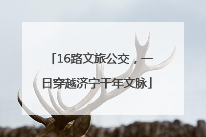 16路文旅公交，一日穿越济宁千年文脉