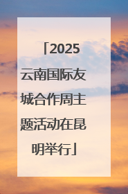 2025云南国际友城合作周主题活动在昆明举行