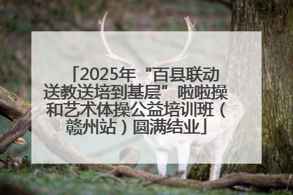 2025年“百县联动送教送培到基层”啦啦操和艺术体操公益培训班（赣州站）圆满结业