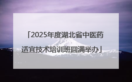 2025年度湖北省中医药适宜技术培训班圆满举办