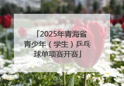 2025年青海省青少年（学生）乒乓球单项赛开赛