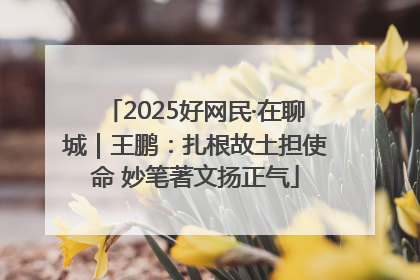 2025好网民·在聊城｜王鹏：扎根故土担使命 妙笔著文扬正气