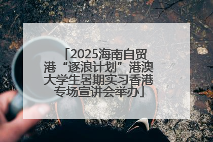 2025海南自贸港“逐浪计划”港澳大学生暑期实习香港专场宣讲会举办