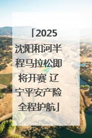 2025沈阳和河半程马拉松即将开赛 辽宁平安产险全程护航