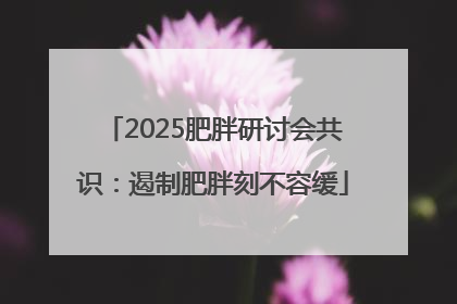 2025肥胖研讨会共识：遏制肥胖刻不容缓