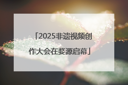 2025非遗视频创作大会在婺源启幕
