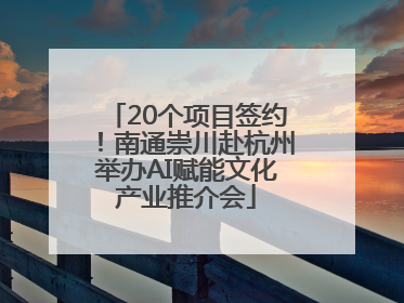 20个项目签约！南通崇川赴杭州举办AI赋能文化产业推介会