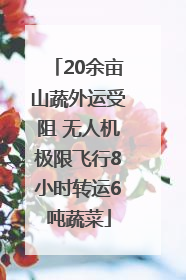 20余亩山蔬外运受阻 无人机极限飞行8小时转运6吨蔬菜