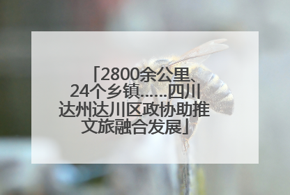 2800余公里、24个乡镇……四川达州达川区政协助推文旅融合发展