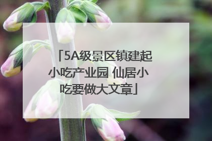 5A级景区镇建起小吃产业园 仙居小吃要做大文章