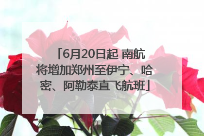 6月20日起 南航将增加郑州至伊宁、哈密、阿勒泰直飞航班