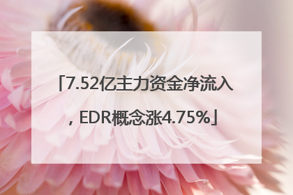 7.52亿主力资金净流入，EDR概念涨4.75%