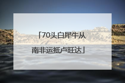 70头白犀牛从南非运抵卢旺达