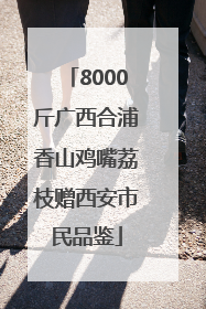 8000斤广西合浦香山鸡嘴荔枝赠西安市民品鉴