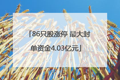 86只股涨停 最大封单资金4.03亿元