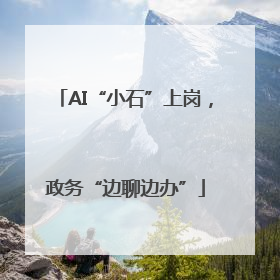 AI“小石”上岗，政务“边聊边办”