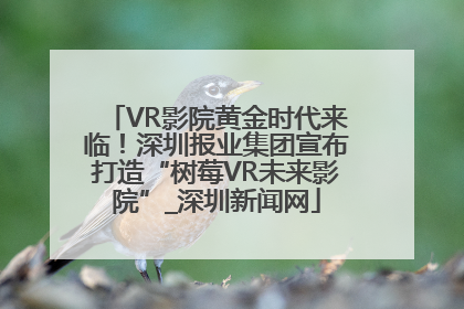 VR影院黄金时代来临！深圳报业集团宣布打造“树莓VR未来影院”_深圳新闻网